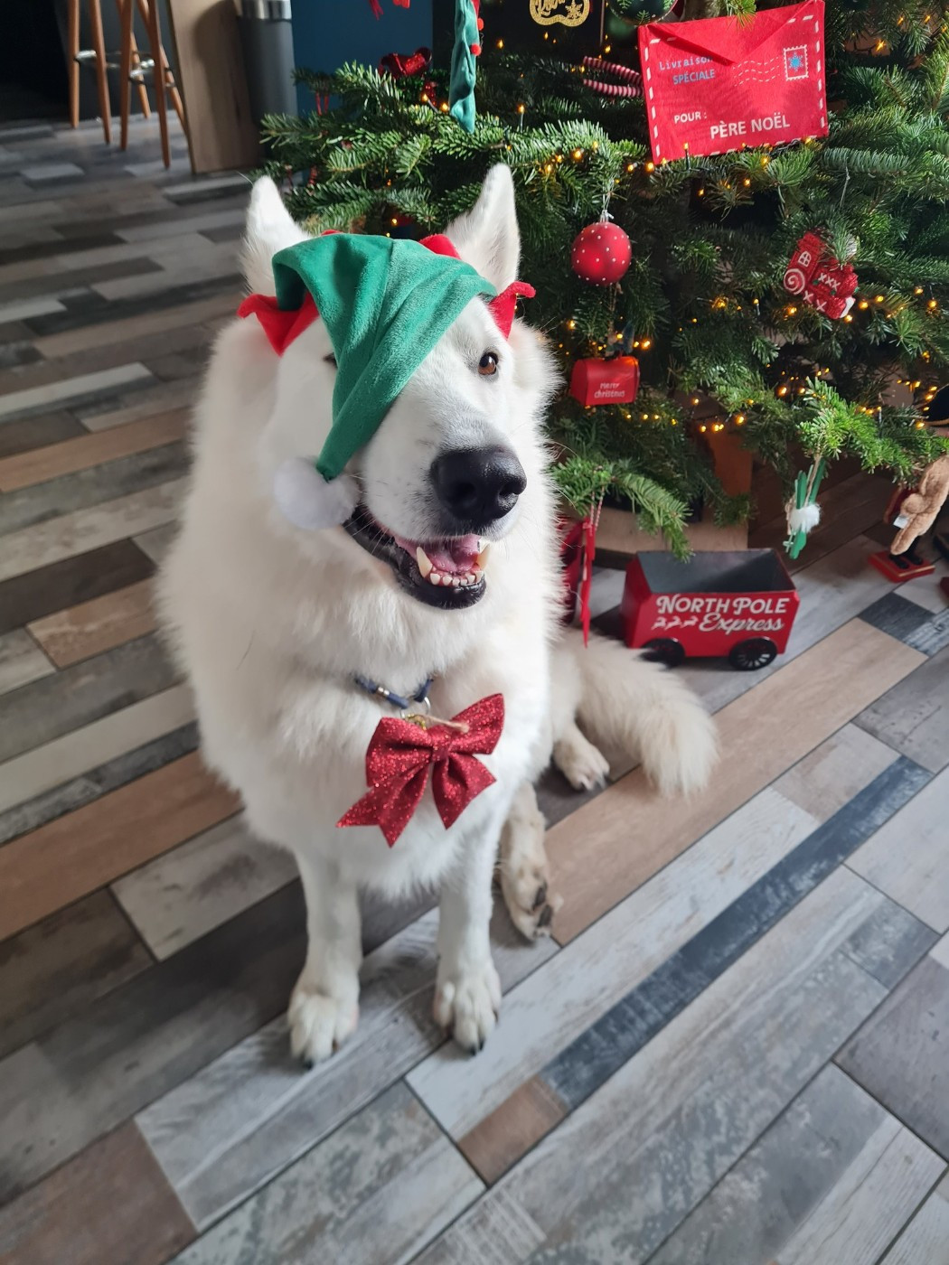 Saiko Du Moulin De Beuvry