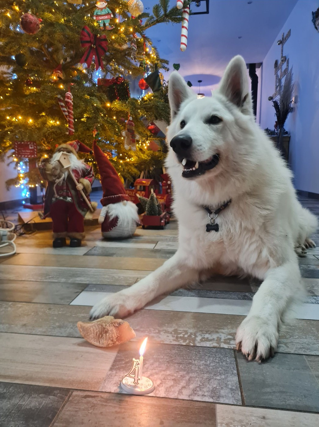 Saiko Du Moulin De Beuvry