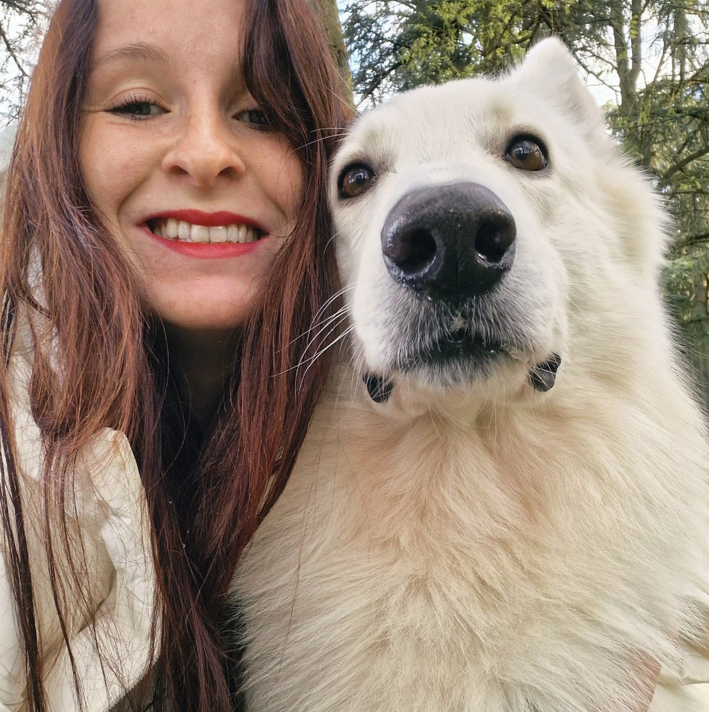 Salju Du Moulin De Beuvry