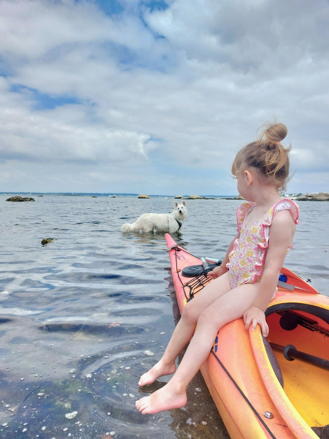 Saphir Du Moulin De Beuvry