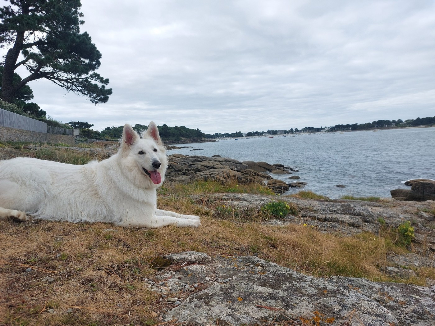 Saphir Du Moulin De Beuvry