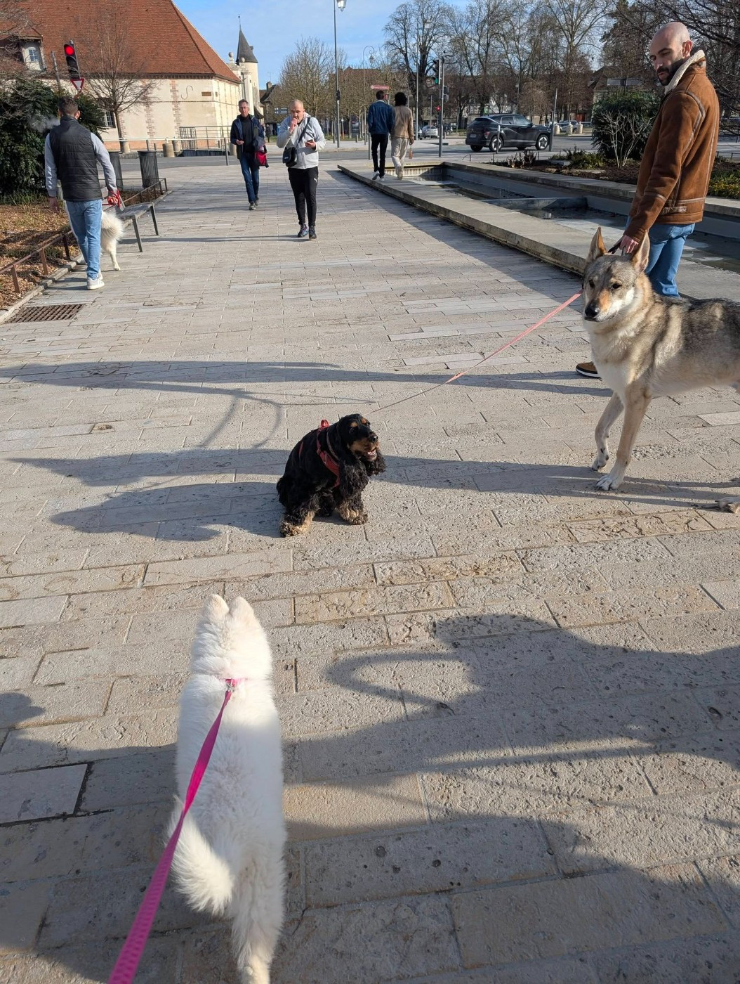 ALASKA Du Moulin De Beuvry