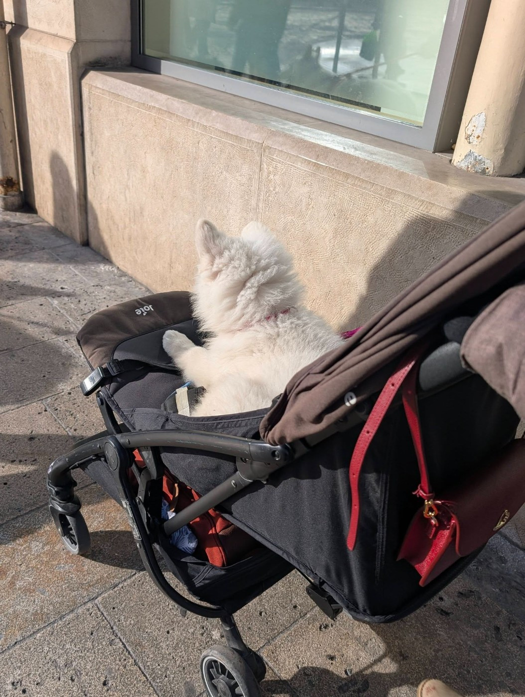 ALASKA Du Moulin De Beuvry