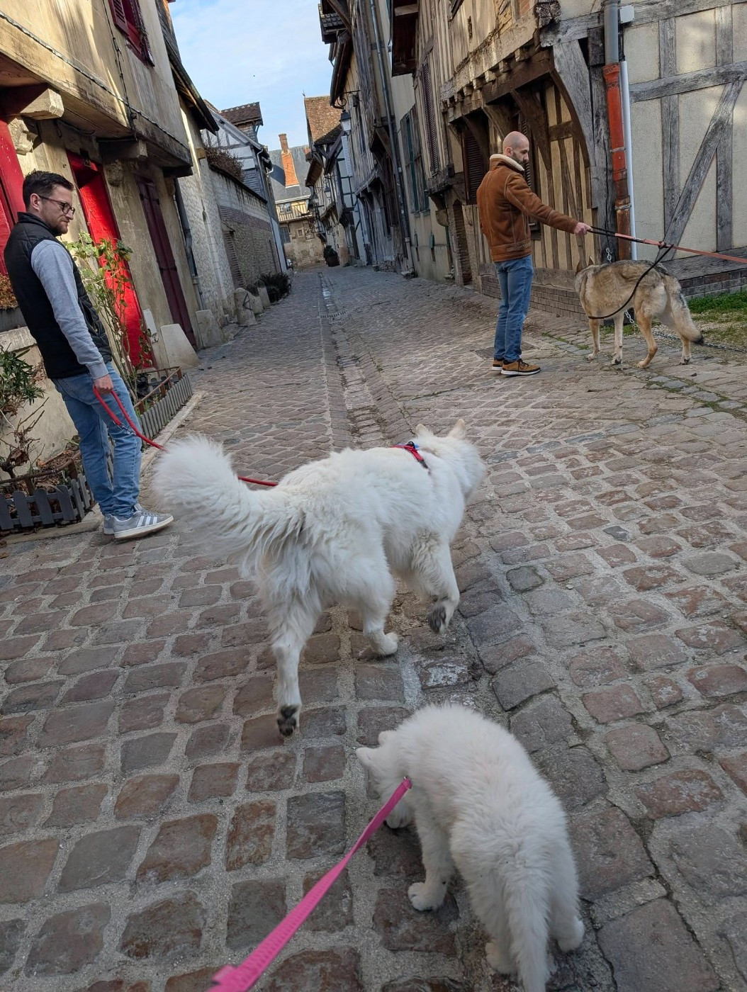 ALASKA Du Moulin De Beuvry