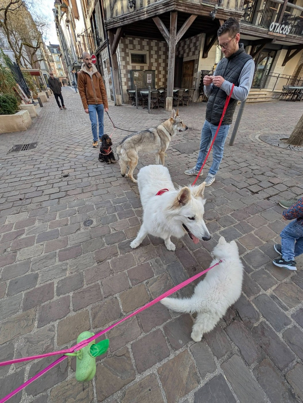 U wolf de la madeleine Du Moulin De Beuvry