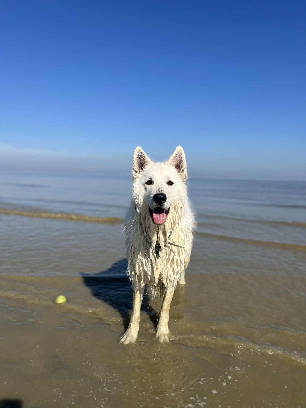 Snow Du Moulin De Beuvry