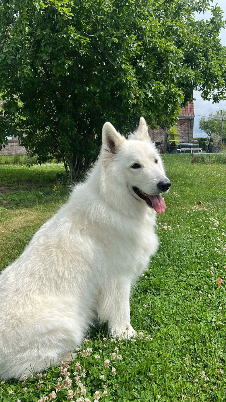 Snow Du Moulin De Beuvry