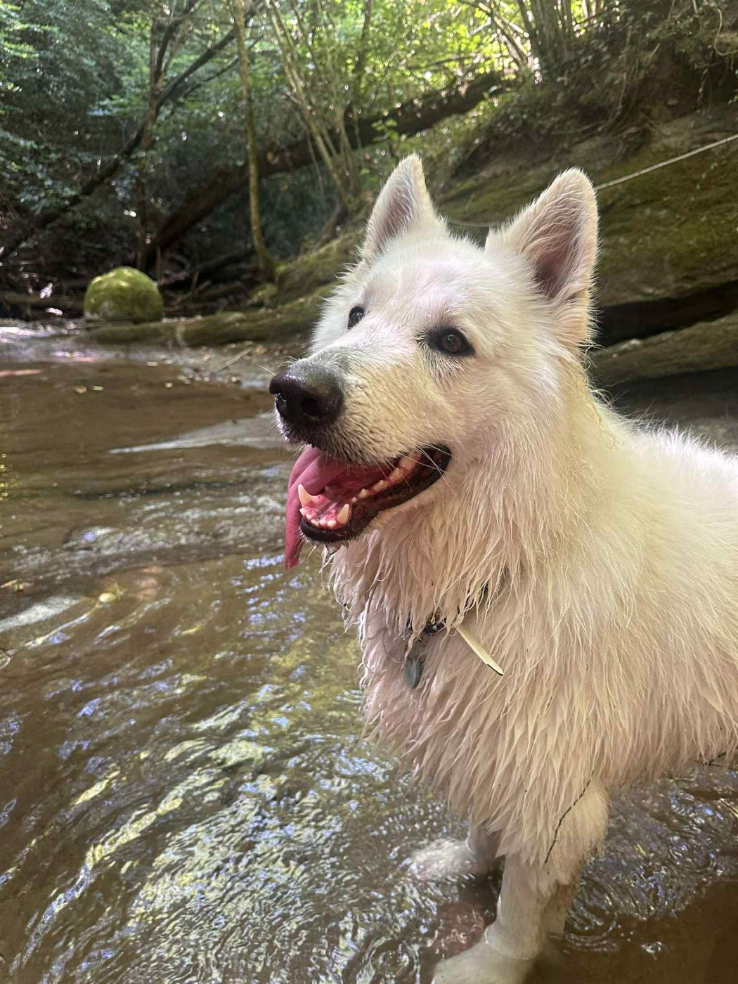 Snow Du Moulin De Beuvry