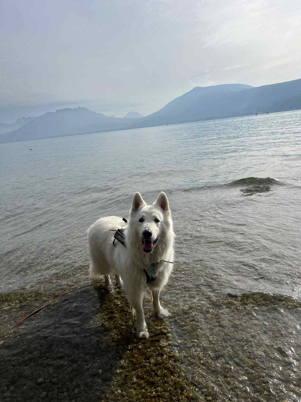 Snow Du Moulin De Beuvry