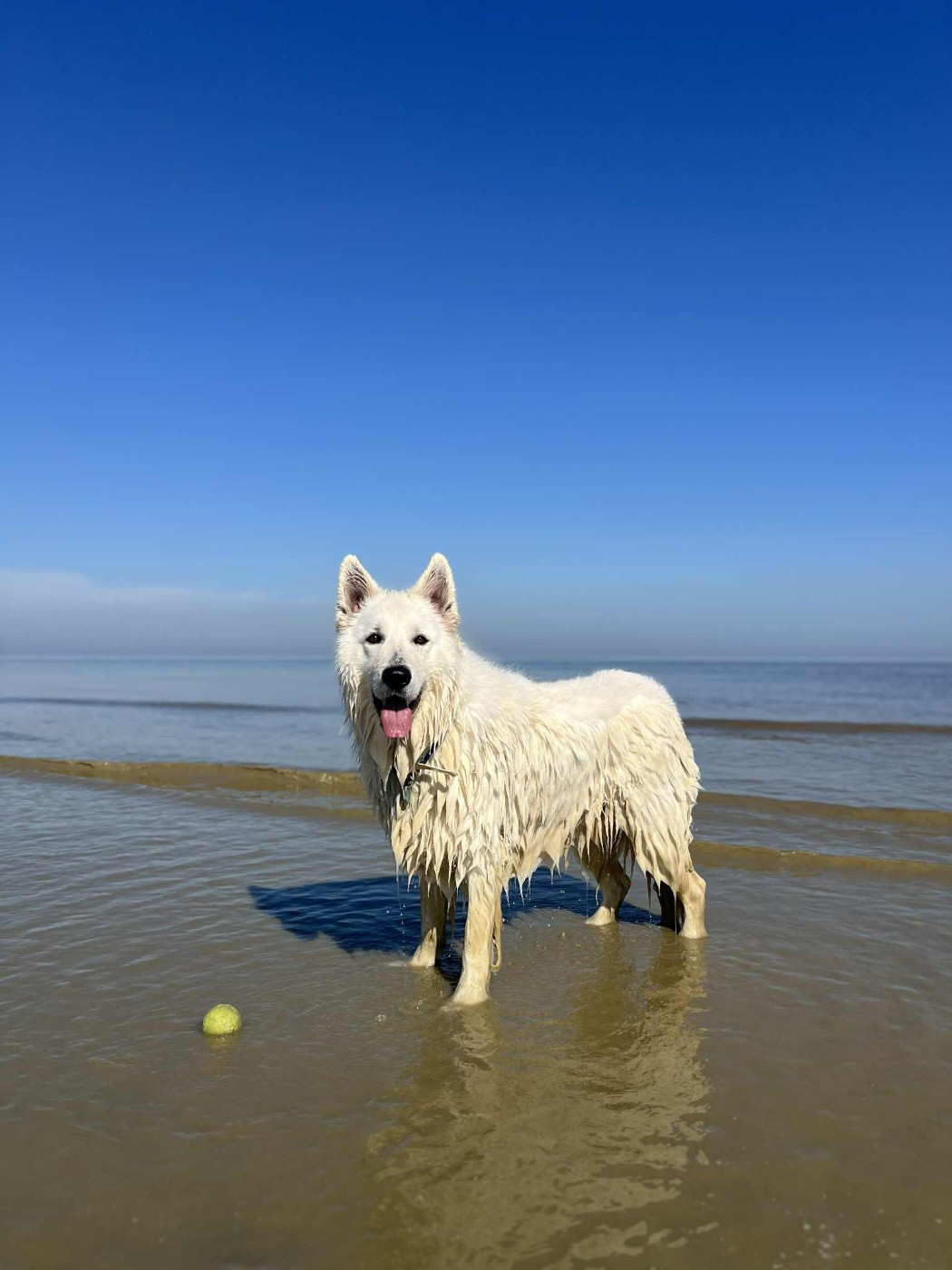 Snow Du Moulin De Beuvry