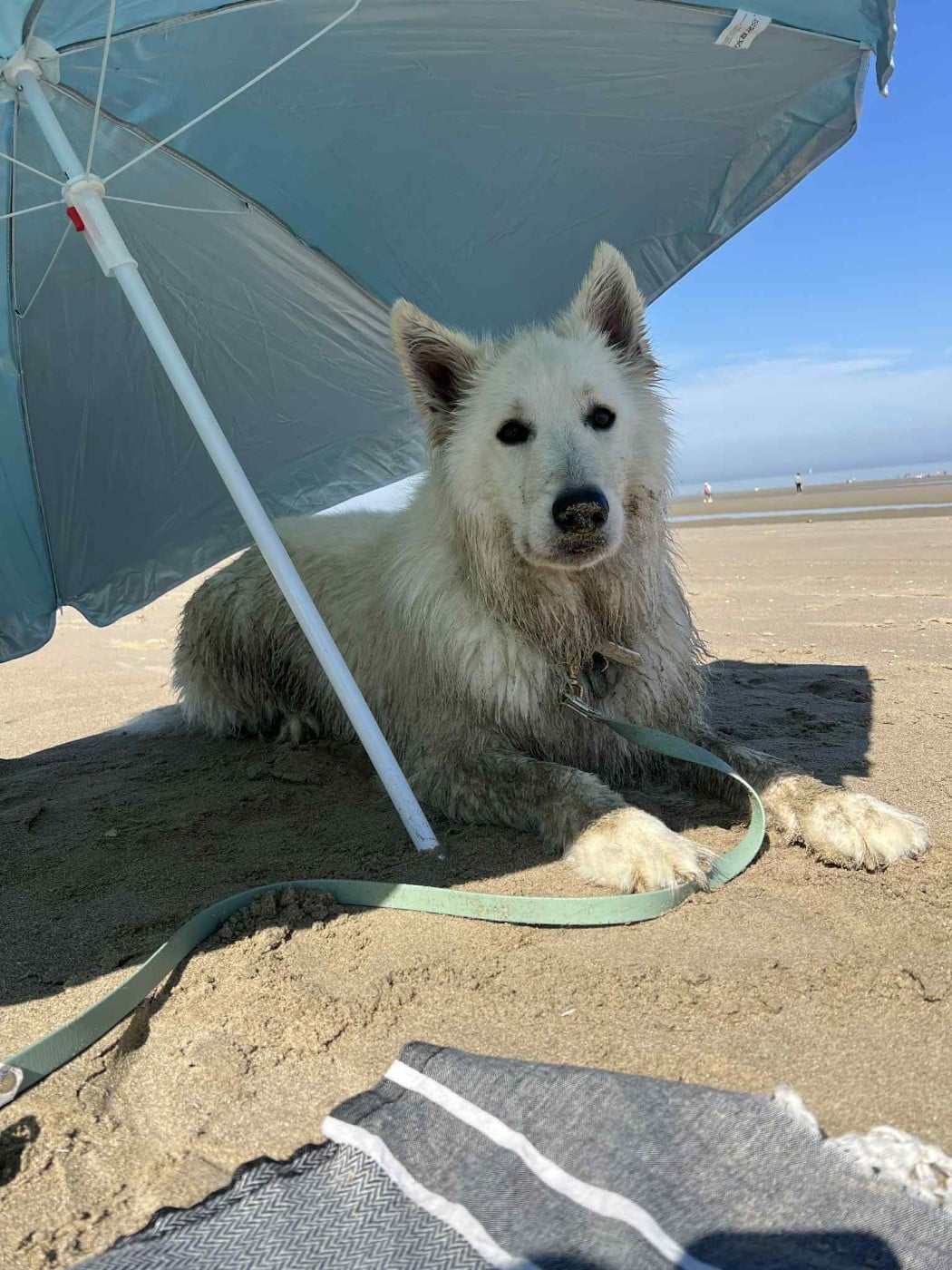 Snow Du Moulin De Beuvry