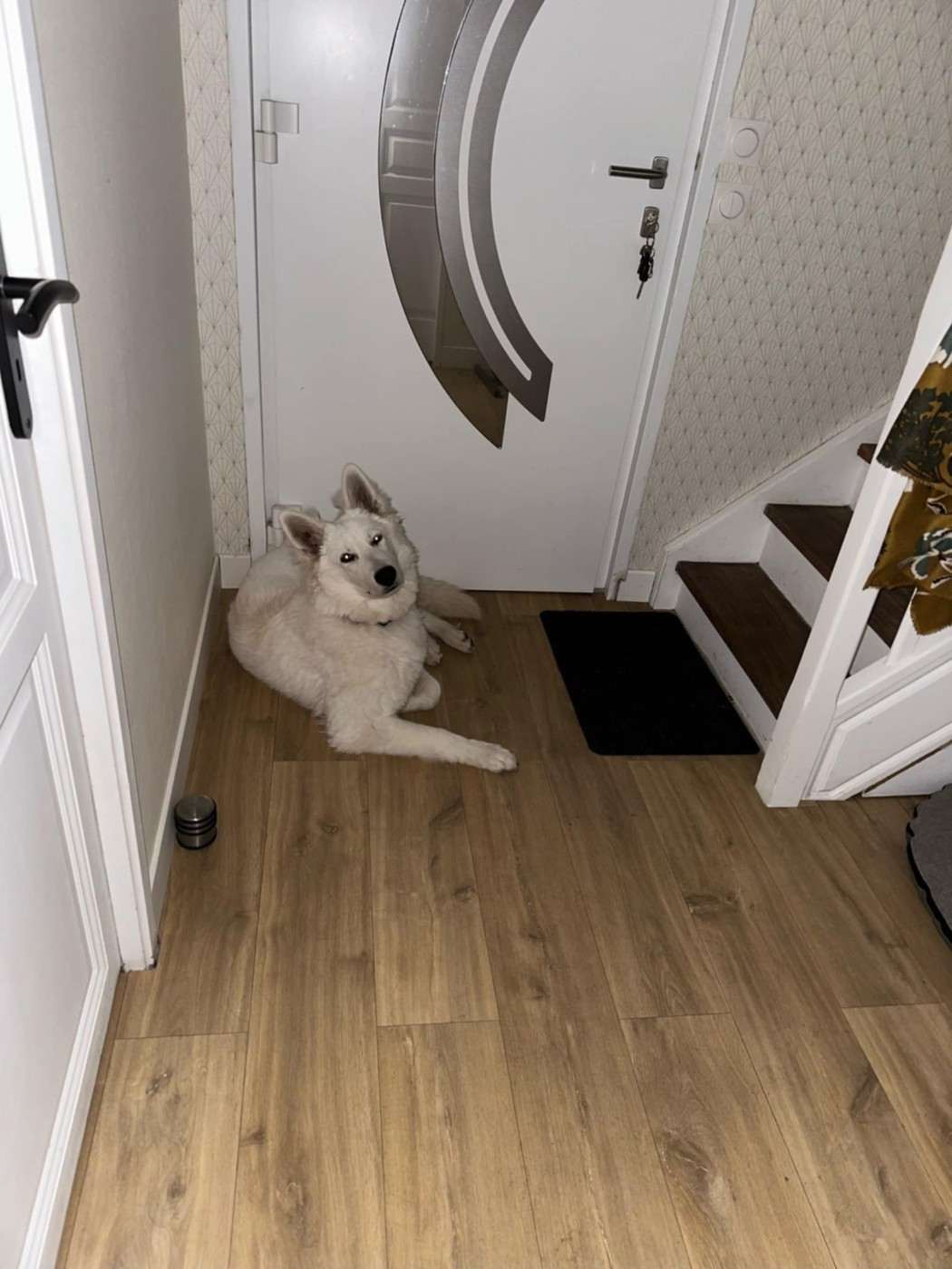 T'sticky Du Moulin De Beuvry