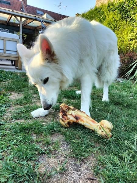 Ti'link Du Moulin De Beuvry