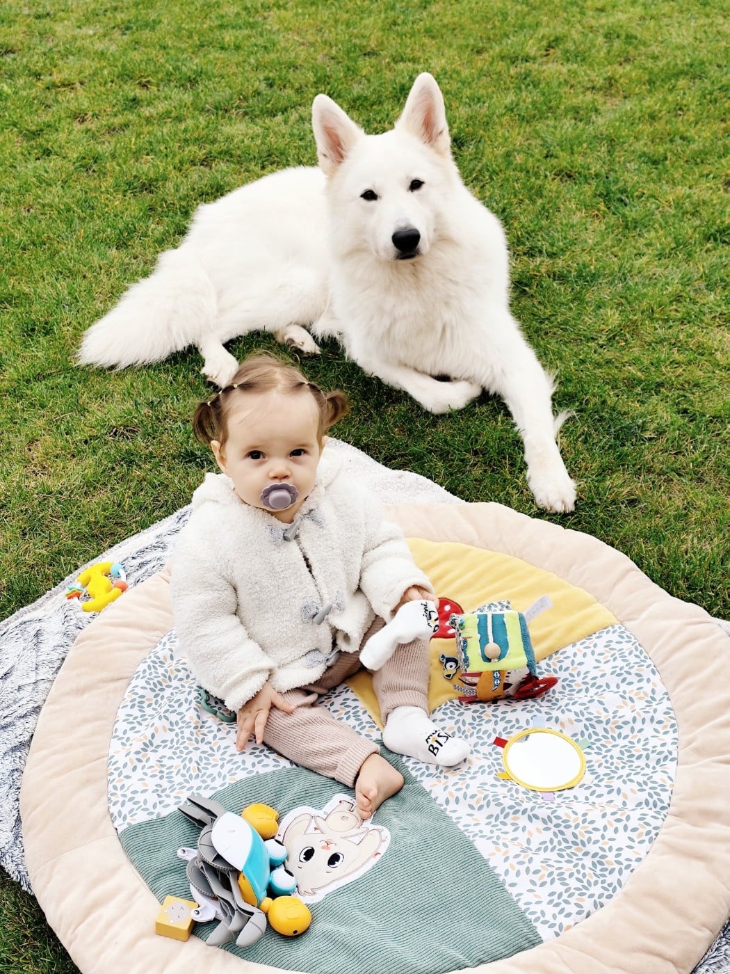 Togo Du Moulin De Beuvry