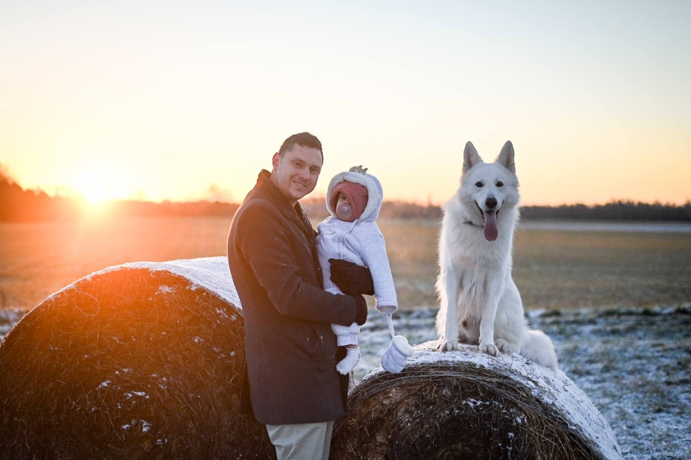 Togo Du Moulin De Beuvry