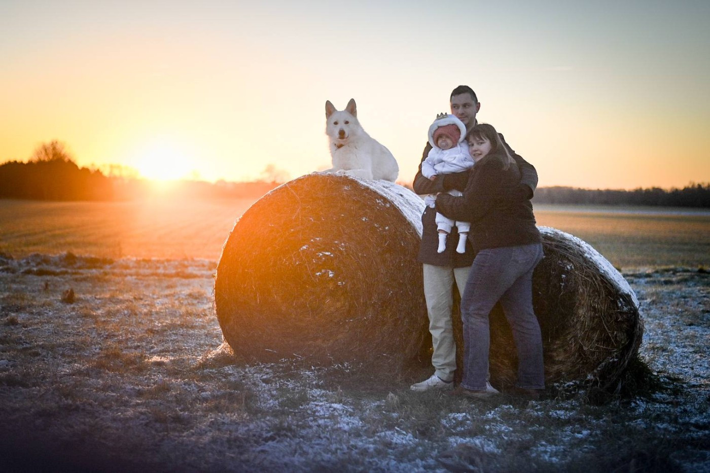 Togo Du Moulin De Beuvry