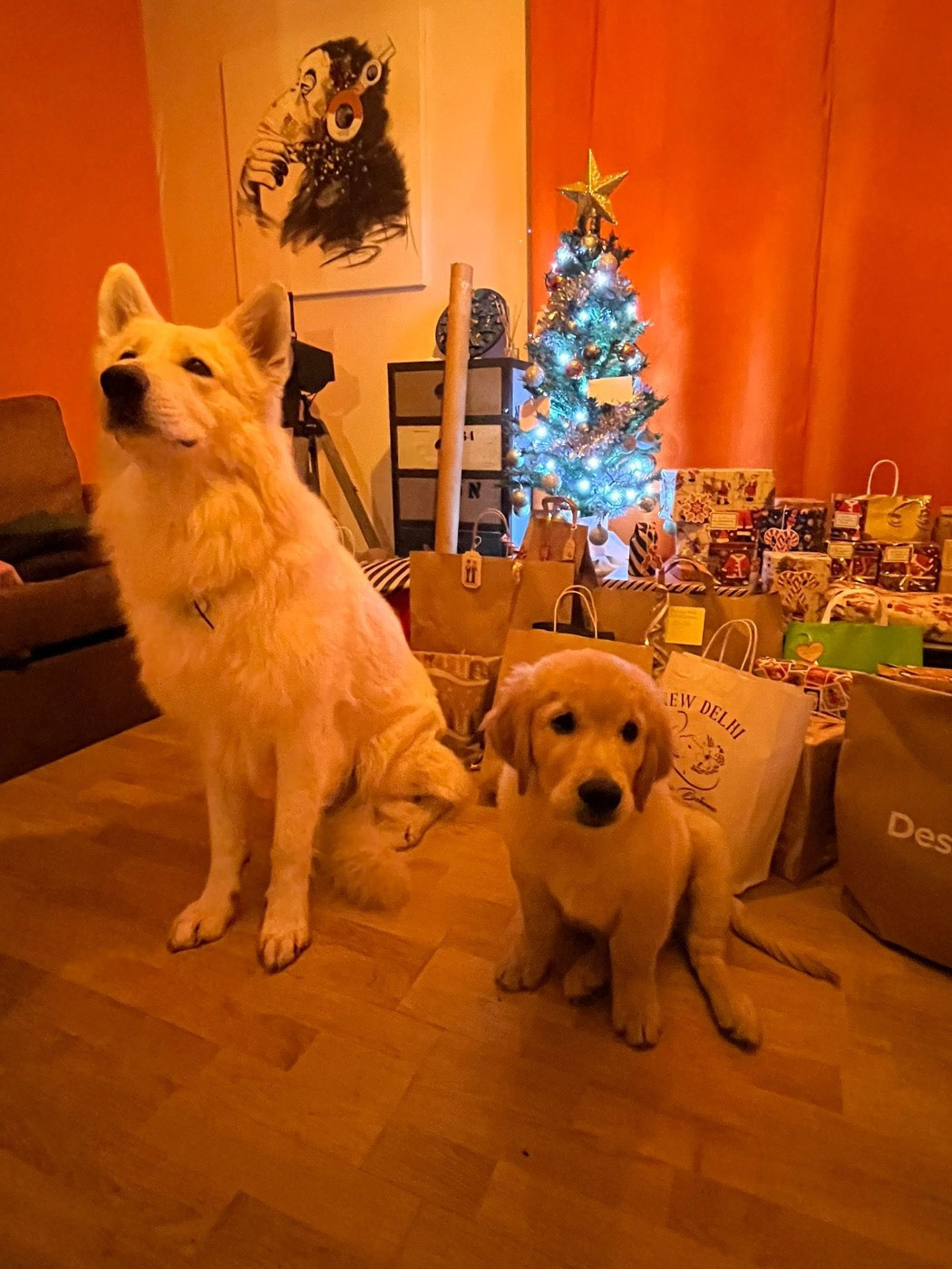 Tomy Du Moulin De Beuvry