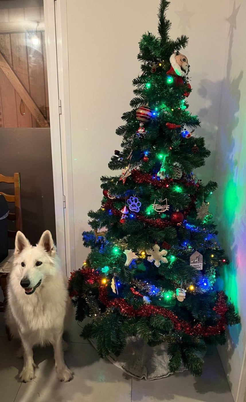 U'elune Du Moulin De Beuvry