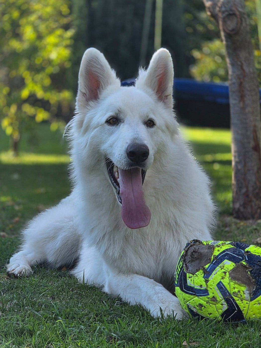 U're phantom Du Moulin De Beuvry