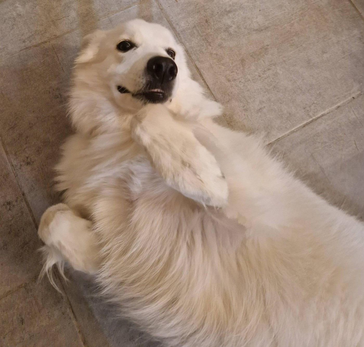 Uby Du Moulin De Beuvry