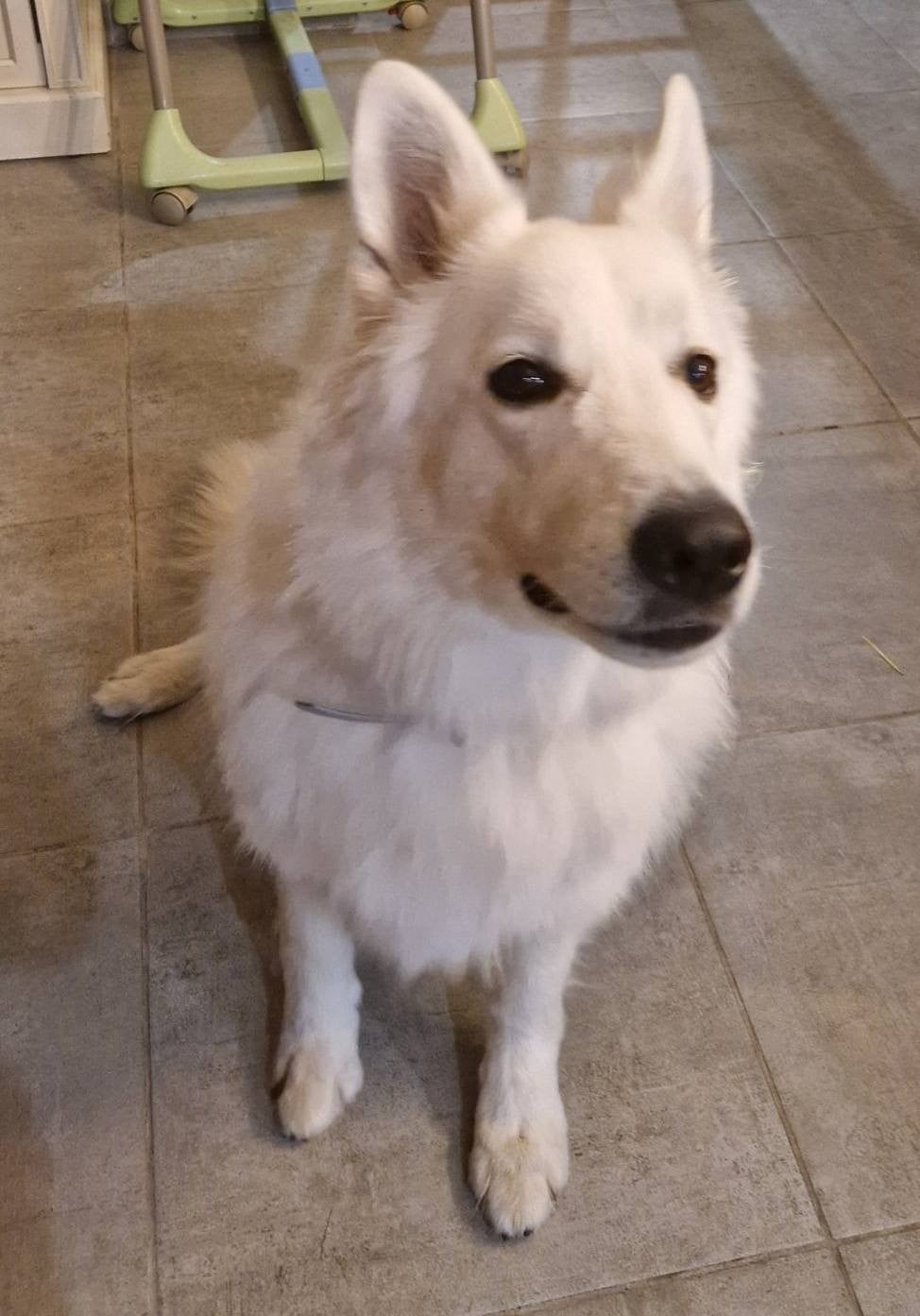 Uby Du Moulin De Beuvry