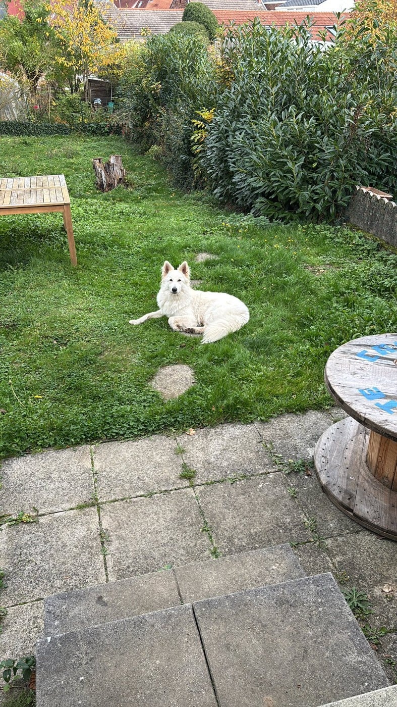 Ucho Du Moulin De Beuvry