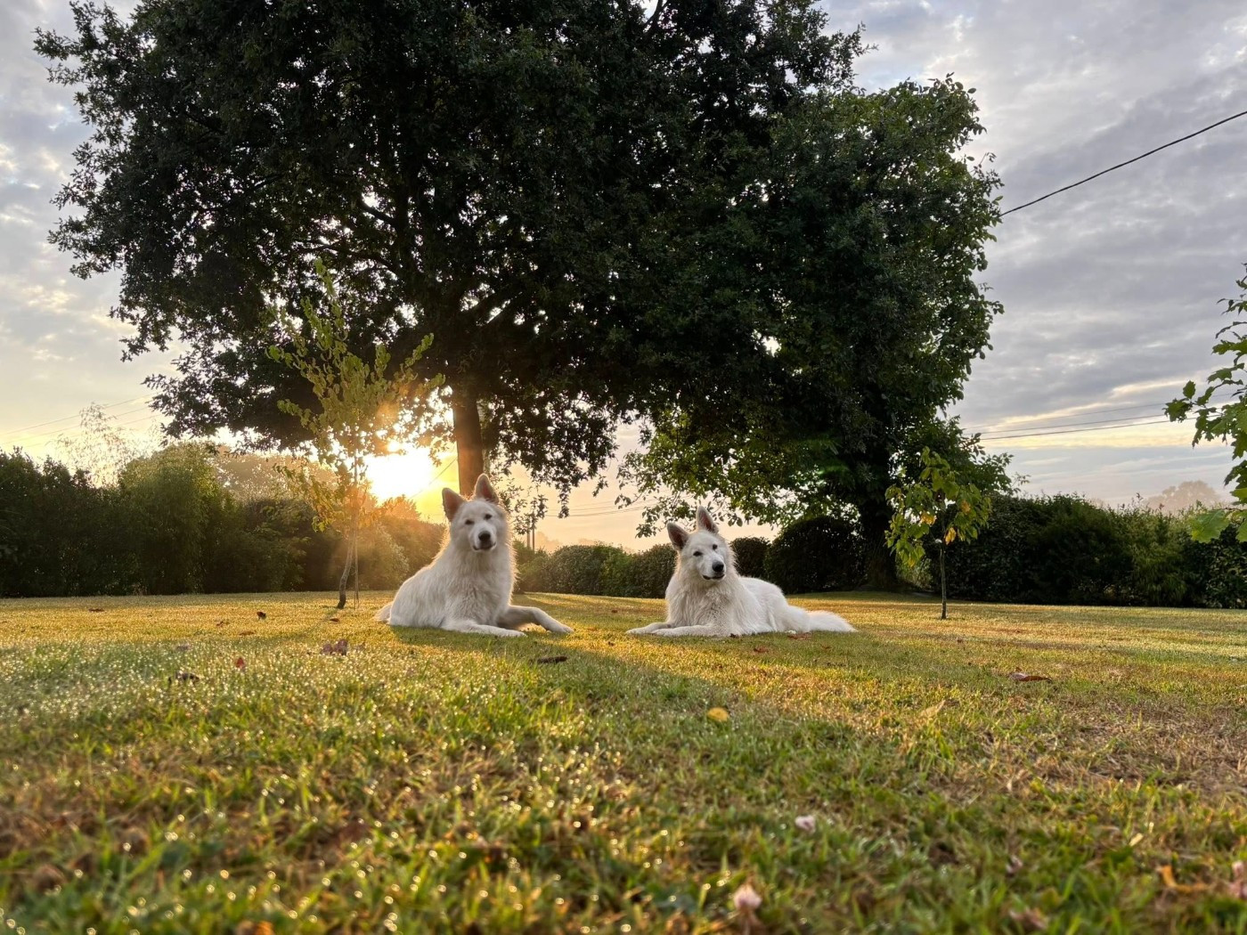 Upsi Du Moulin De Beuvry