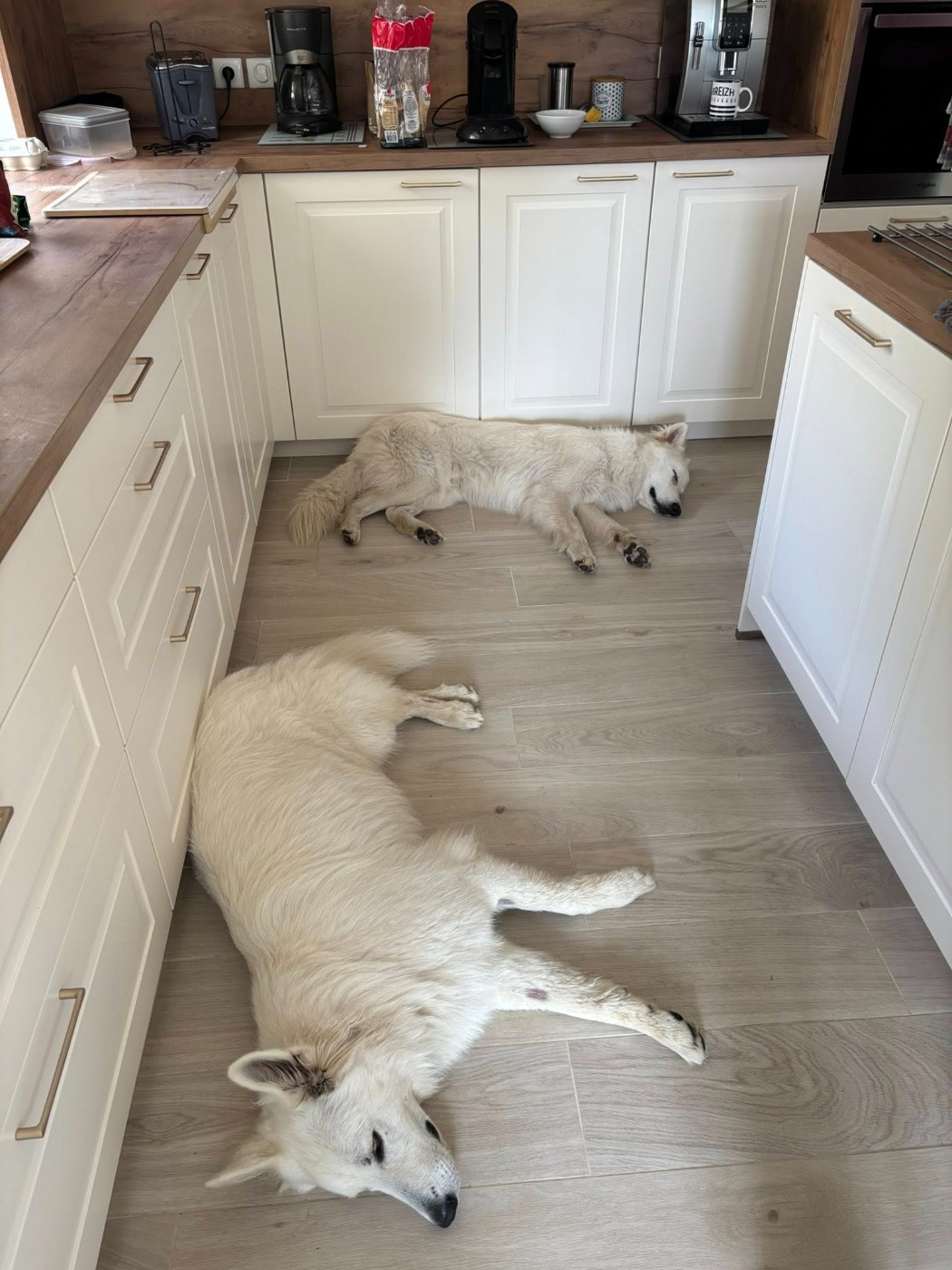 Upsi Du Moulin De Beuvry