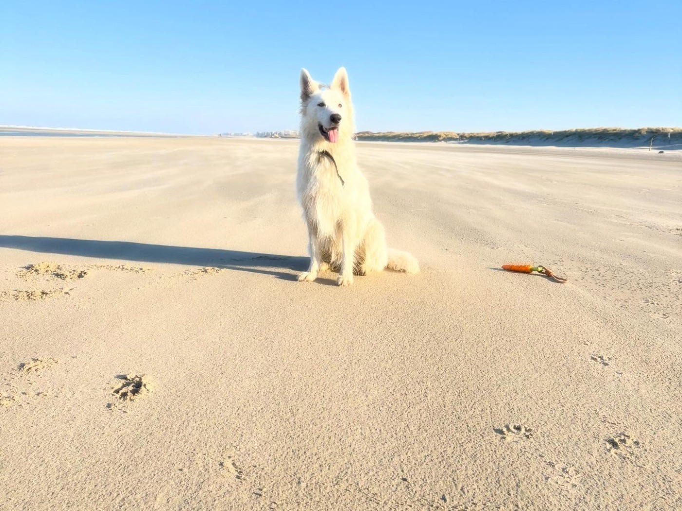 Upsi Du Moulin De Beuvry