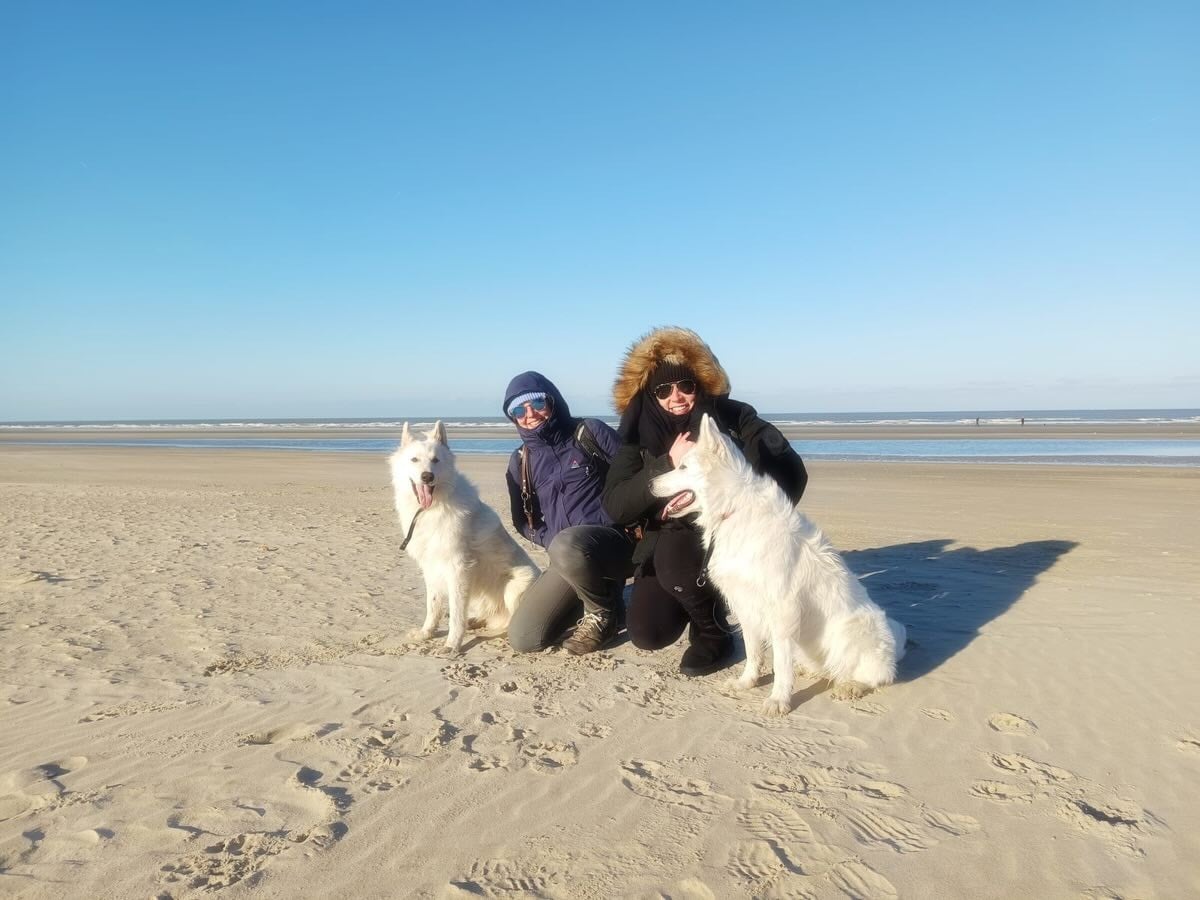 Ucho Du Moulin De Beuvry