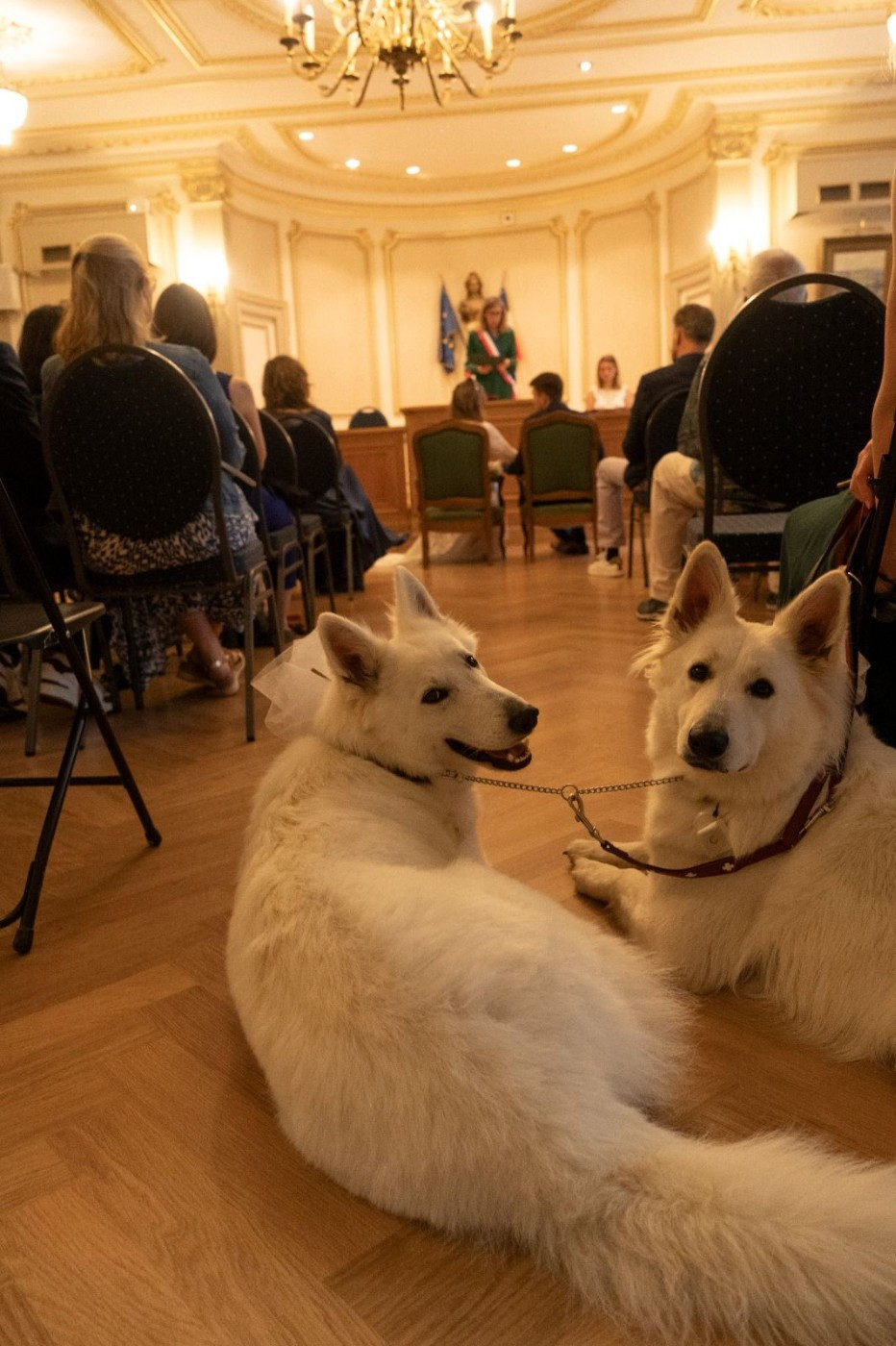 Ultra white Du Moulin De Beuvry