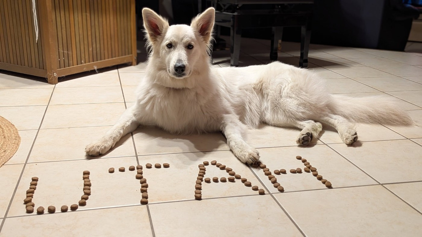 Utah Du Moulin De Beuvry
