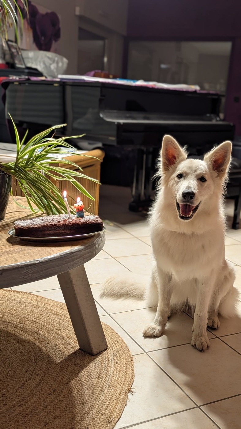 Utah Du Moulin De Beuvry