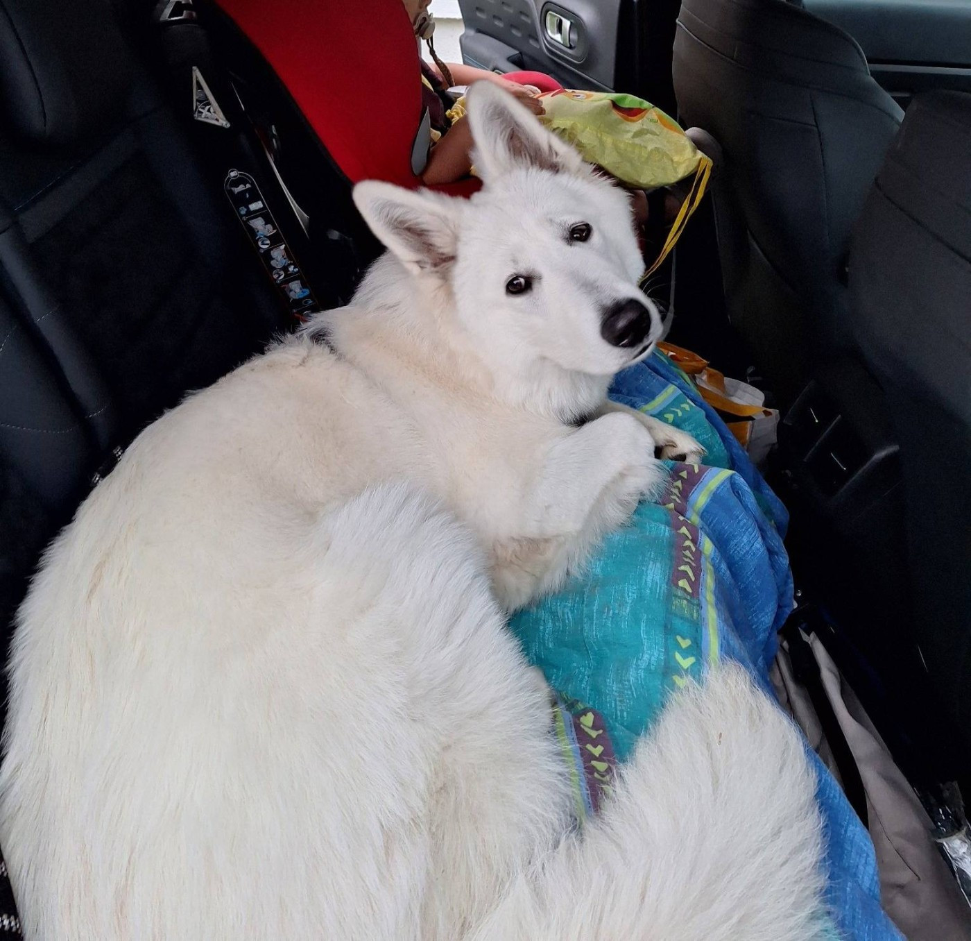 V sybelle Du Moulin De Beuvry