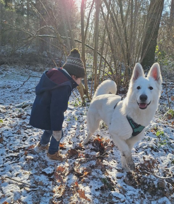 V sybelle Du Moulin De Beuvry