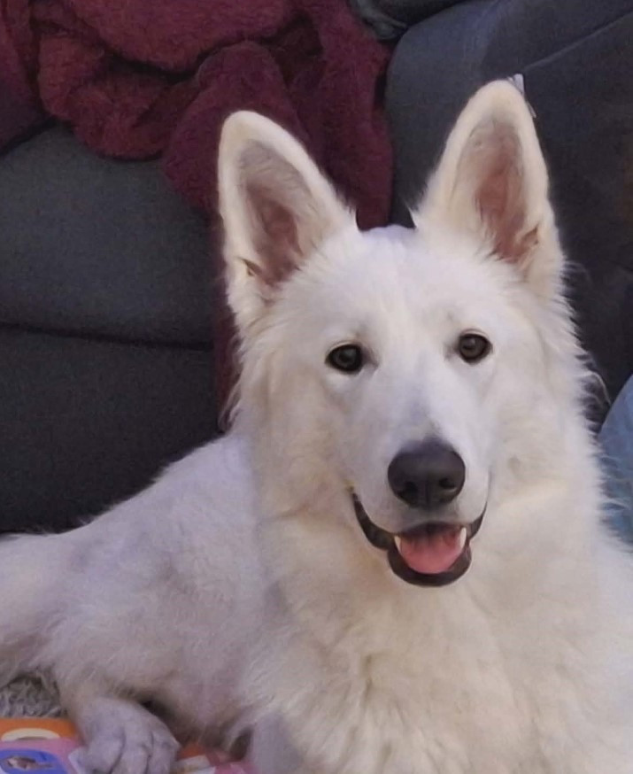 V sybelle Du Moulin De Beuvry