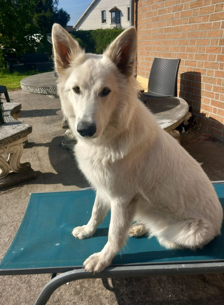 Valmy Du Moulin De Beuvry