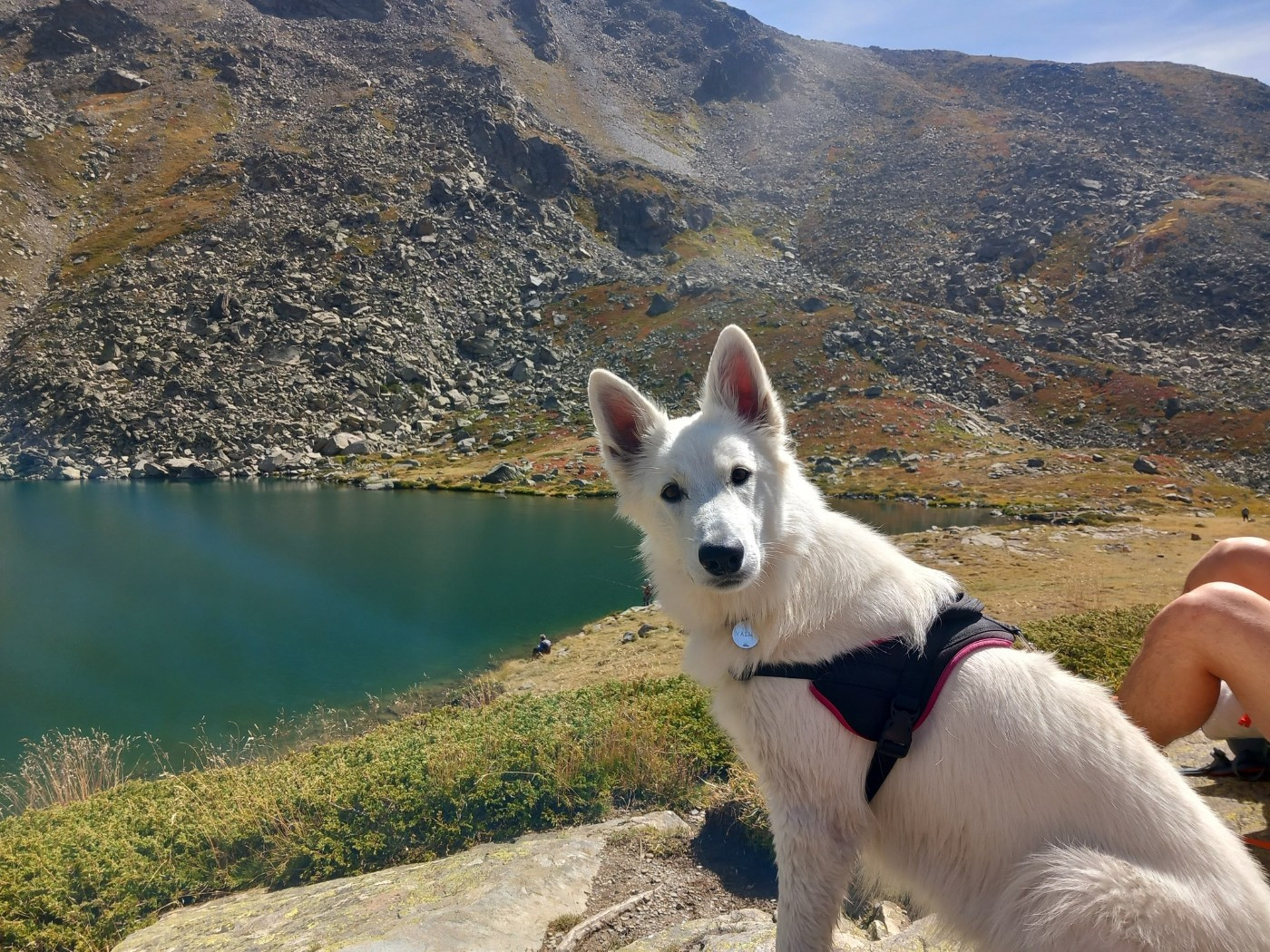 Valmy Du Moulin De Beuvry