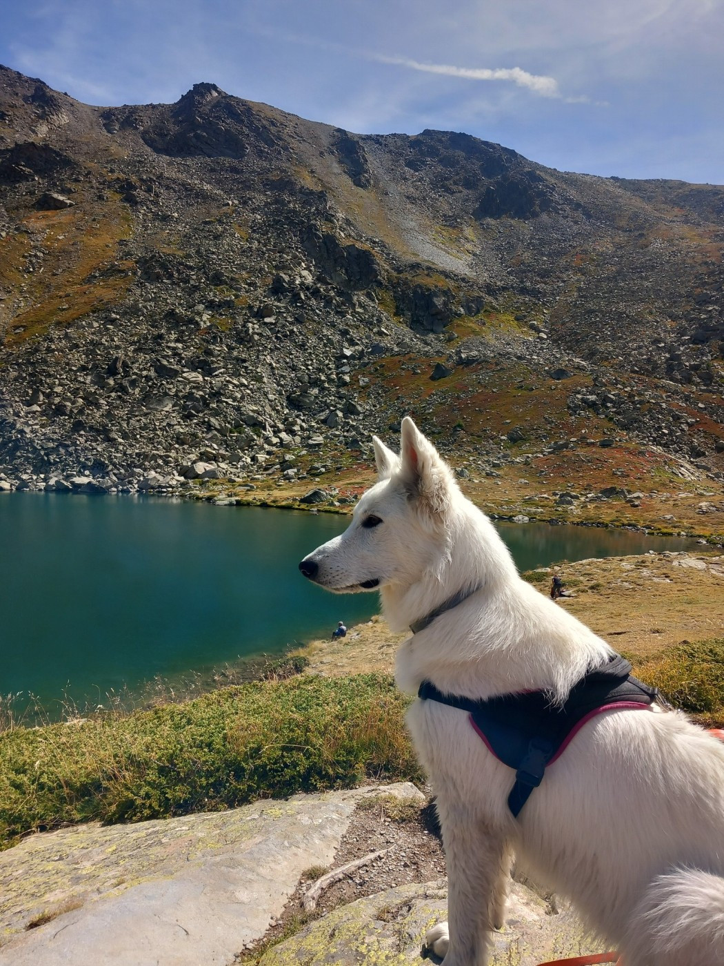Valmy Du Moulin De Beuvry