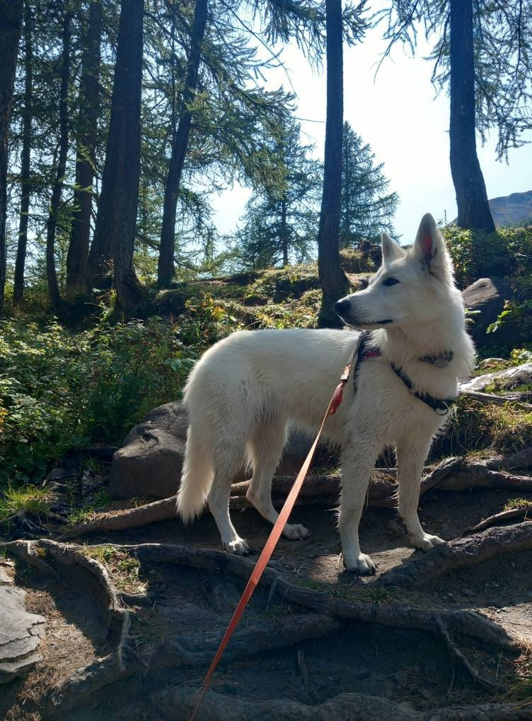 Valmy Du Moulin De Beuvry
