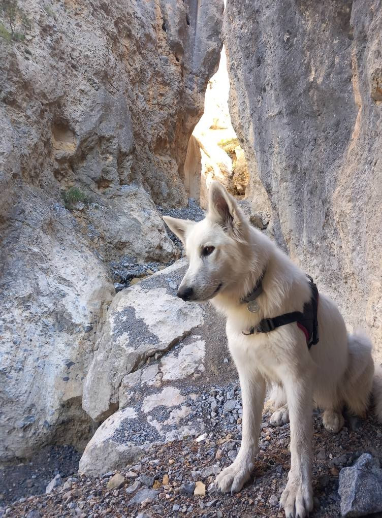 Valmy Du Moulin De Beuvry