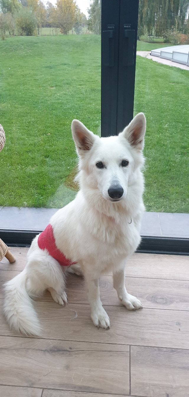 Vanille des îles Du Moulin De Beuvry