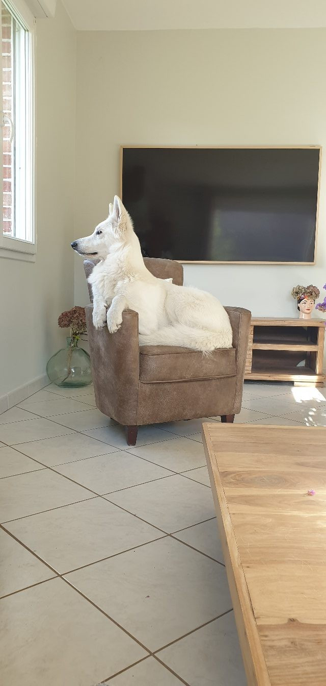 Vanille des îles Du Moulin De Beuvry