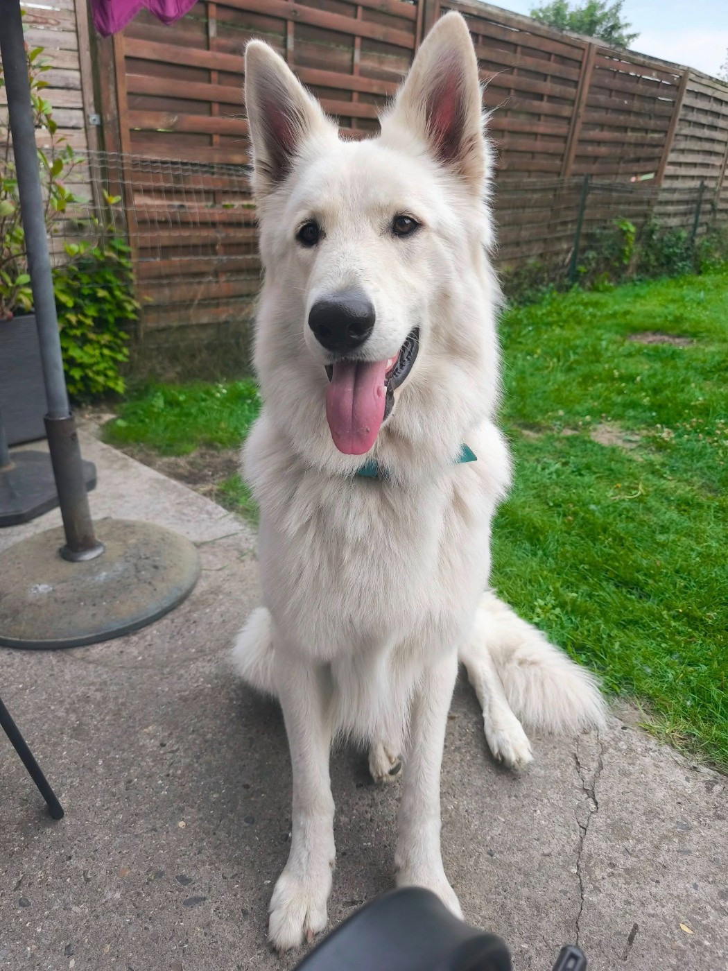 Vasko Du Moulin De Beuvry