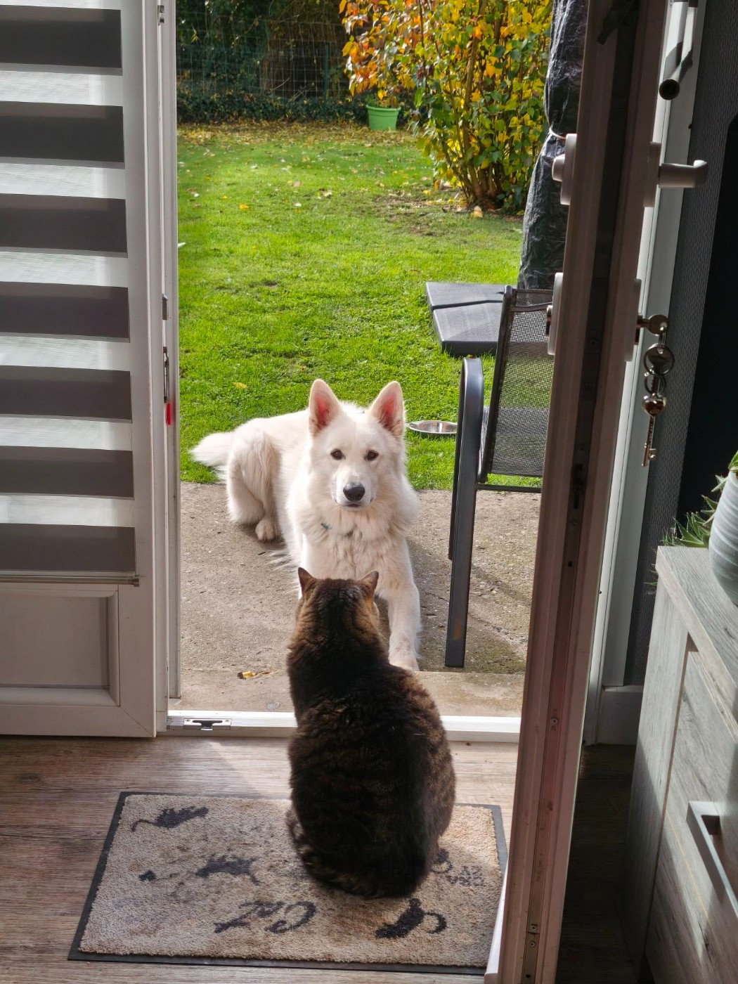 Vasko Du Moulin De Beuvry