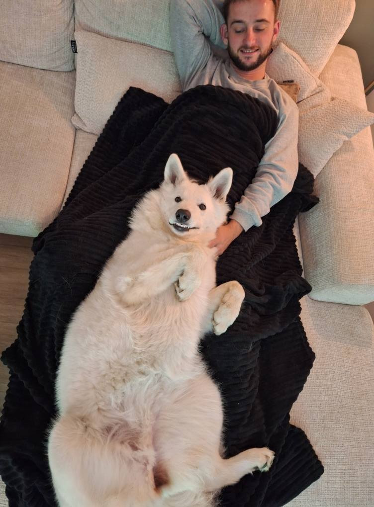 Venise Du Moulin De Beuvry