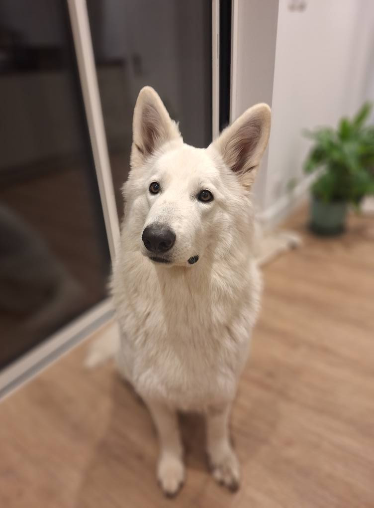 Venise Du Moulin De Beuvry