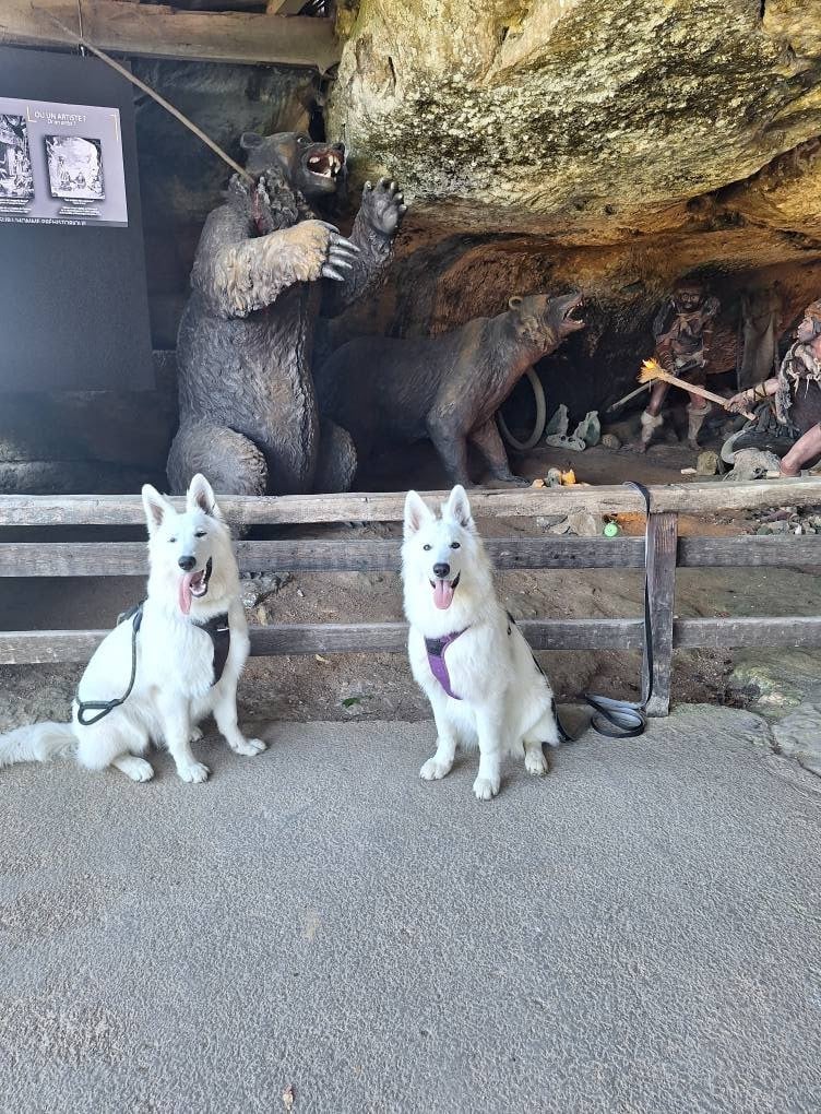 Vienna Du Moulin De Beuvry