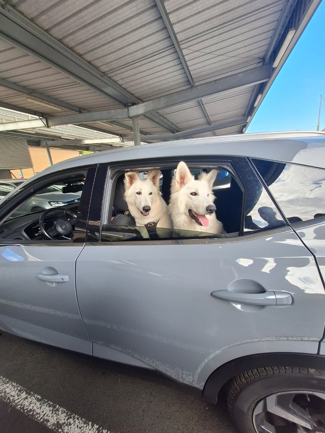 Vienna Du Moulin De Beuvry