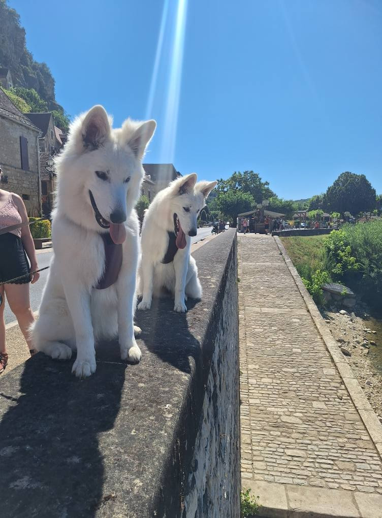 Venise Du Moulin De Beuvry